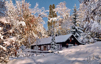 Blockhaus Winter